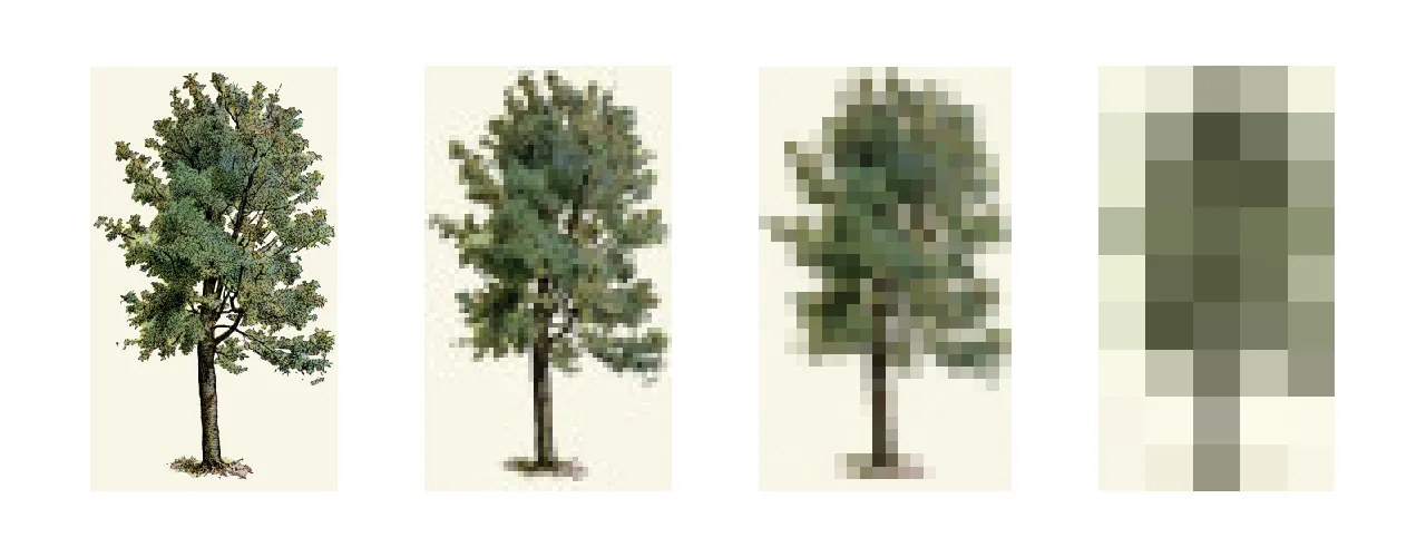 illustration of a tree being scaled down